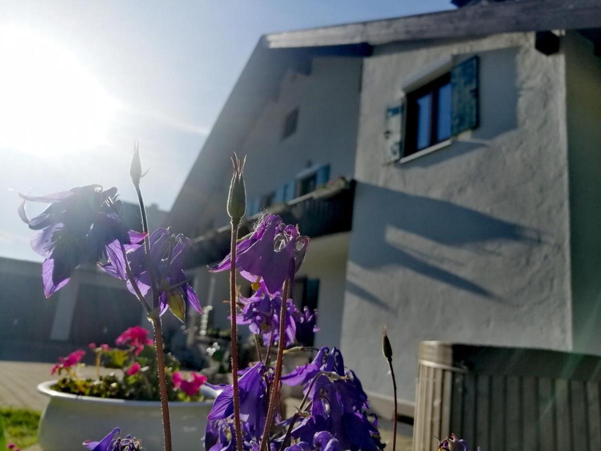 Ferienwohnung Zwoelferkante Grainau Buitenkant foto